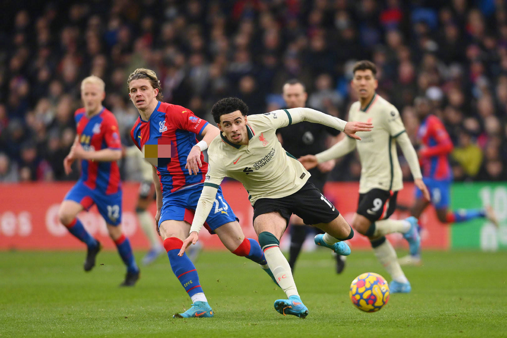 虽然未能带 虽然未能带