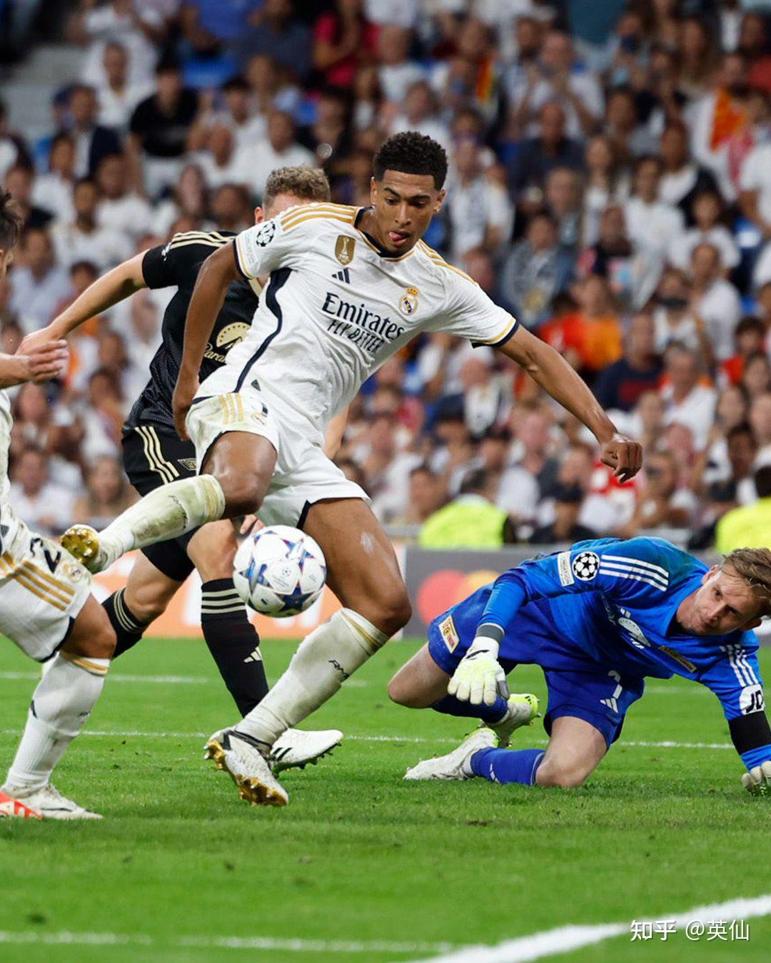 年来在荷兰 年来在荷兰